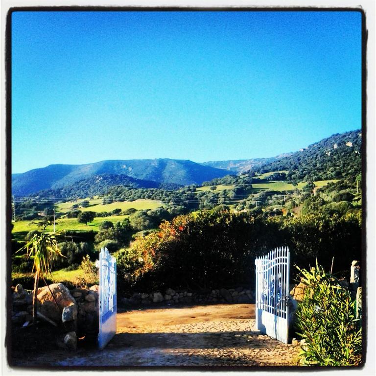 Agriturismo B&B Domo De Resteblas Berchidda Exterior photo