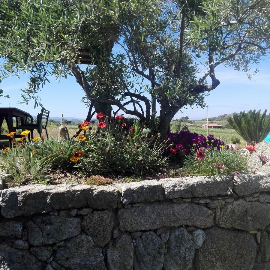 Agriturismo B&B Domo De Resteblas Berchidda Exterior photo