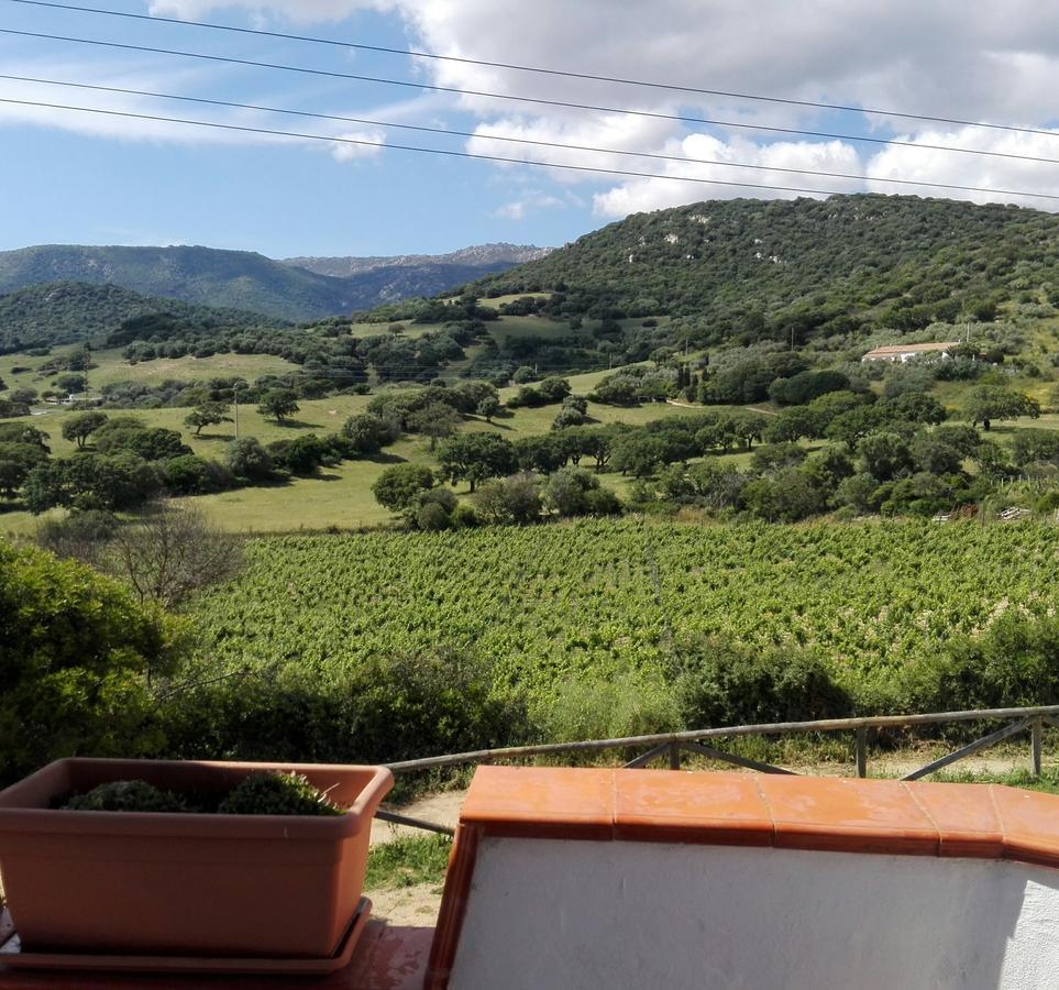 Agriturismo B&B Domo De Resteblas Berchidda Exterior photo
