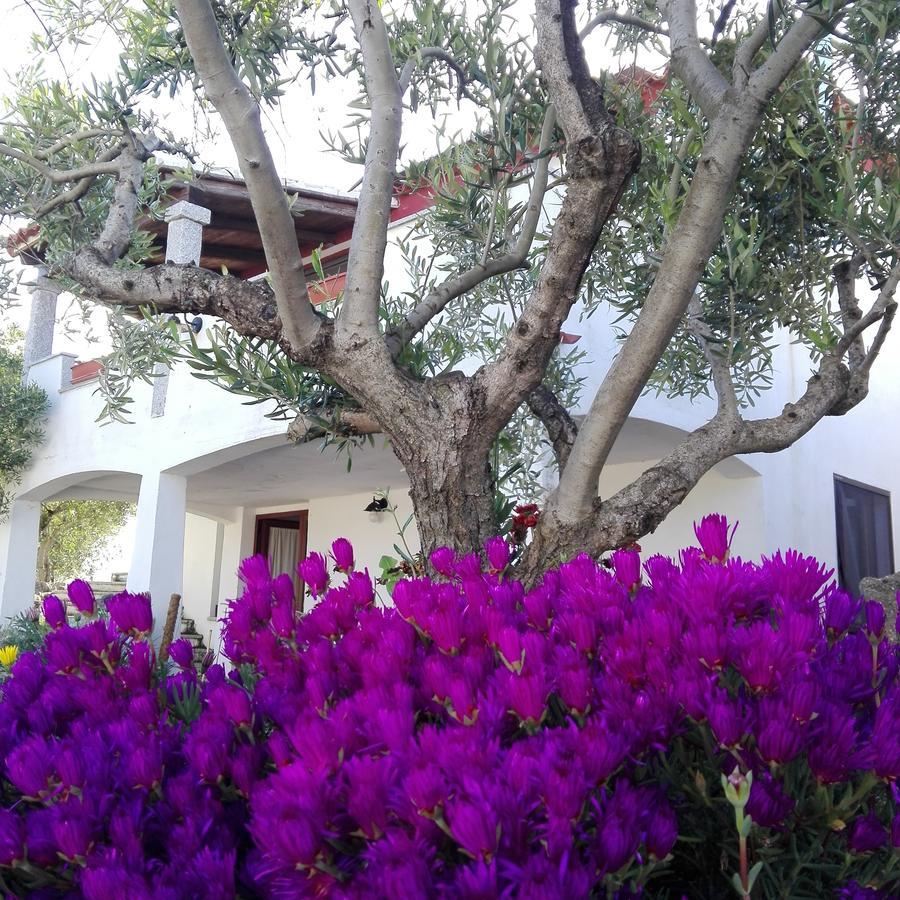 Agriturismo B&B Domo De Resteblas Berchidda Exterior photo